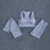 Women's Yoga Fitness Workout Activewear Outfit