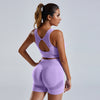 2-Piece Women's Seamless Yoga & Workout Set
