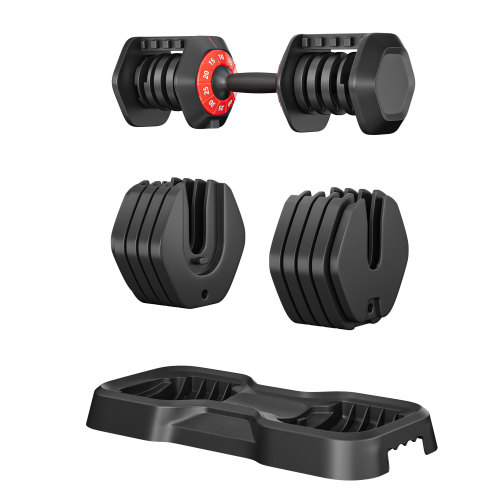 10-in-1 Adjustable Dumbbell Set 55 lb